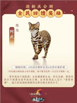 鼎天龙八部3私服